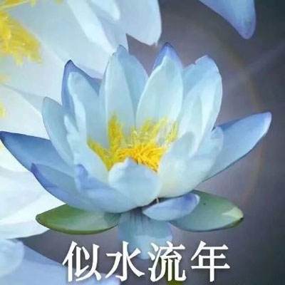 无双传奇ol王者游戏下载