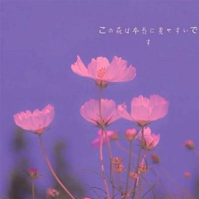 封仙奇缘hd手游